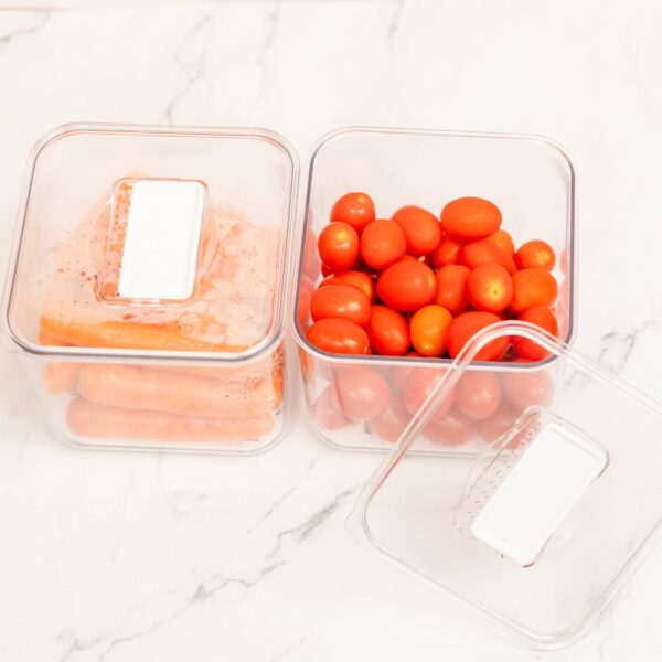 small Fruit and Vegetable Storage Container
